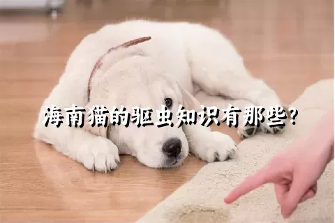 海南猫的驱虫知识有那些？