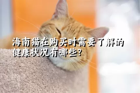 海南猫在购买时需要了解的健康状况有哪些？