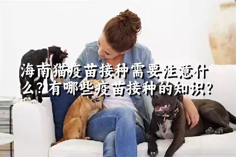 海南猫疫苗接种需要注意什么？有哪些疫苗接种的知识？