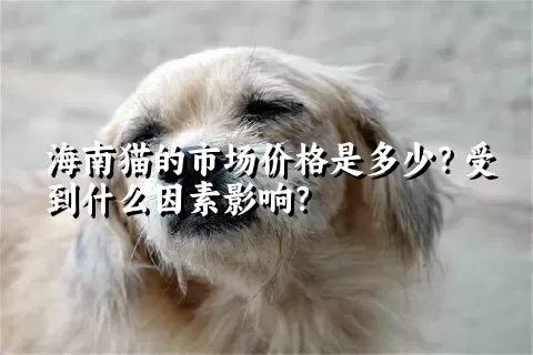 海南猫的市场价格是多少？受到什么因素影响？