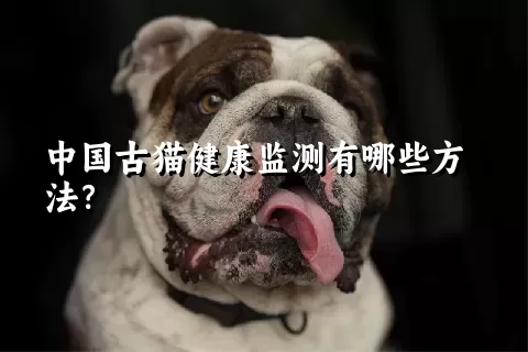 中国古猫健康监测有哪些方法？