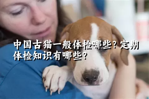 中国古猫一般体检哪些？定期体检知识有哪些？