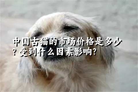 中国古猫的市场价格是多少？受到什么因素影响？