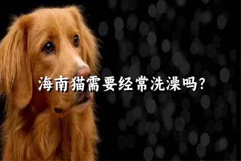 海南猫需要经常洗澡吗？