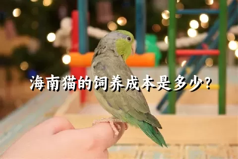 海南猫的饲养成本是多少？