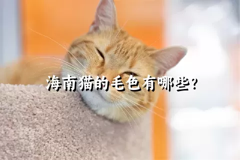 海南猫的毛色有哪些？