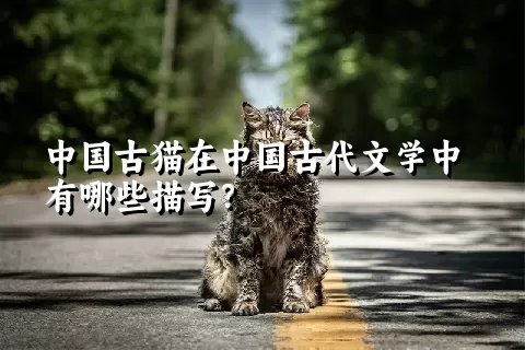 中国古猫在中国古代文学中有哪些描写？