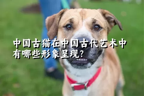 中国古猫在中国古代艺术中有哪些形象呈现？