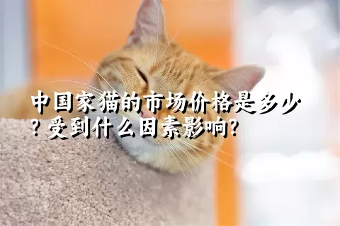 中国家猫的市场价格是多少？受到什么因素影响？