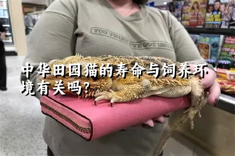 中华田园猫的寿命与饲养环境有关吗？