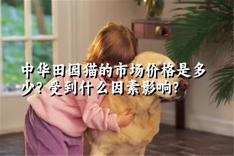 中华田园猫的市场价格是多少？受到什么因素影响？