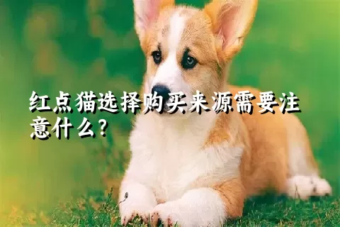 红点猫选择购买来源需要注意什么？ 