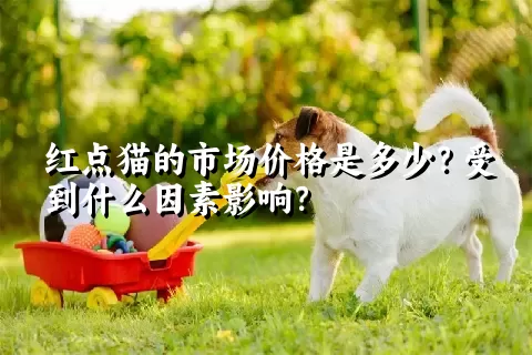 红点猫的市场价格是多少？受到什么因素影响？