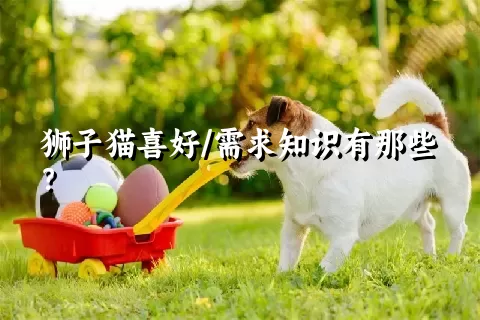 狮子猫喜好/需求知识有那些？