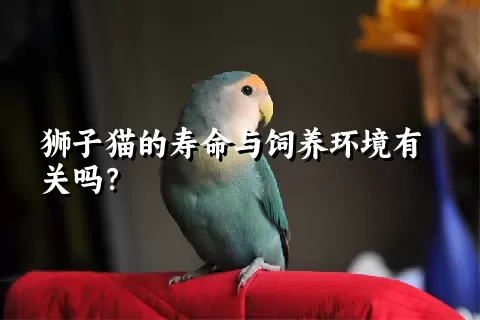 狮子猫的寿命与饲养环境有关吗？