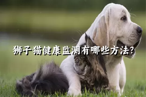 狮子猫健康监测有哪些方法？