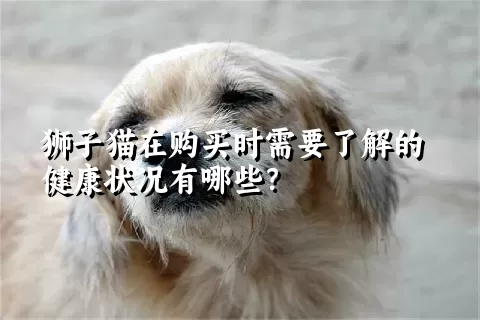 狮子猫在购买时需要了解的健康状况有哪些？