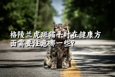 格陵兰虎斑猫平时在健康方面需要注意哪一些？