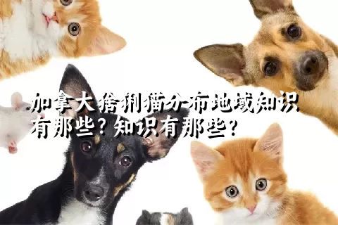 加拿大猞猁猫分布地域知识有那些？知识有那些？