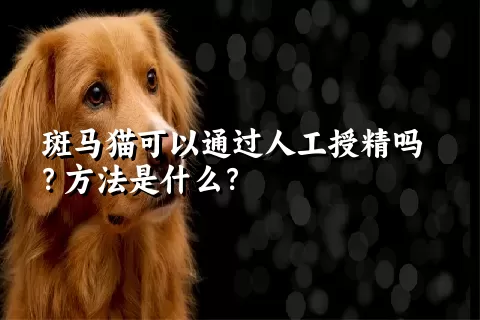 斑马猫可以通过人工授精吗？方法是什么？