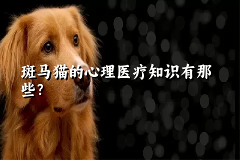 斑马猫的心理医疗知识有那些？