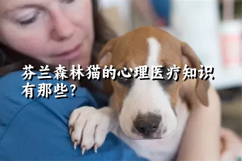 芬兰森林猫的心理医疗知识有那些？