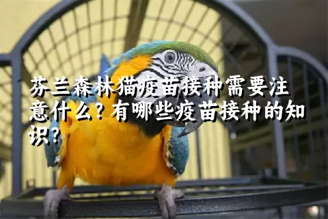 芬兰森林猫疫苗接种需要注意什么？有哪些疫苗接种的知识？