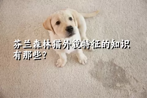 芬兰森林猫外貌特征的知识有那些？