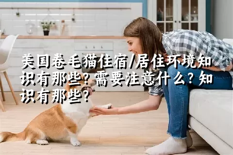 美国卷毛猫住宿/居住环境知识有那些？需要注意什么？知识有那些？