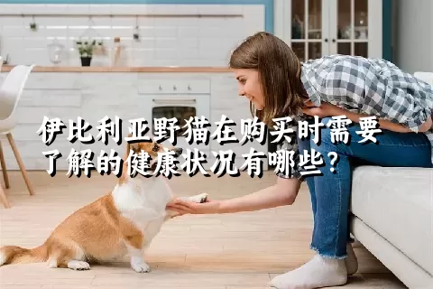 伊比利亚野猫在购买时需要了解的健康状况有哪些？