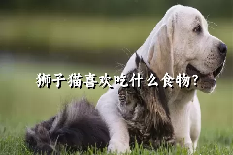 狮子猫喜欢吃什么食物？