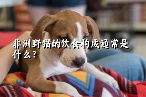 非洲野猫的饮食构成通常是什么？