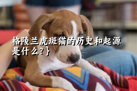 格陵兰虎斑猫的历史和起源是什么？