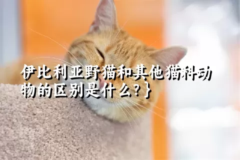 伊比利亚野猫和其他猫科动物的区别是什么？