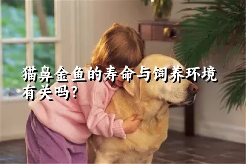 猫鼻金鱼的寿命与饲养环境有关吗？