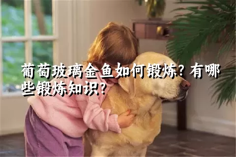 葡萄玻璃金鱼如何锻炼？有哪些锻炼知识？