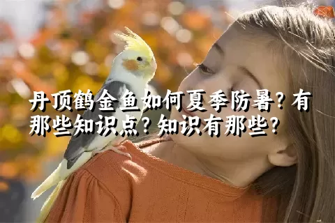 丹顶鹤金鱼如何夏季防暑？有那些知识点？知识有那些？