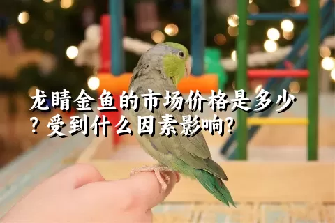 龙睛金鱼的市场价格是多少？受到什么因素影响？