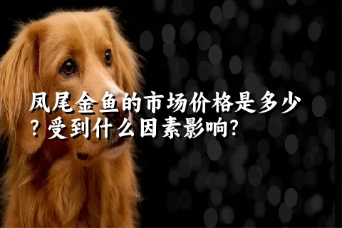 凤尾金鱼的市场价格是多少？受到什么因素影响？