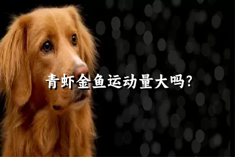 青虾金鱼运动量大吗？