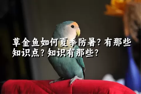 草金鱼如何夏季防暑？有那些知识点？知识有那些？