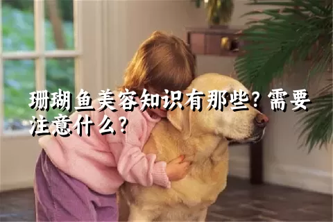 珊瑚鱼美容知识有那些？需要注意什么？