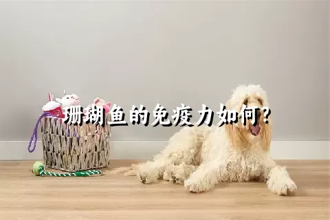 珊瑚鱼的免疫力如何？