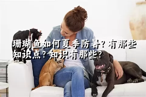 珊瑚鱼如何夏季防暑？有那些知识点？知识有那些？