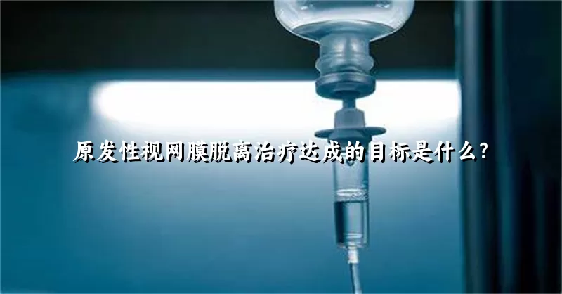 原发性视网膜脱离治疗达成的目标是什么？