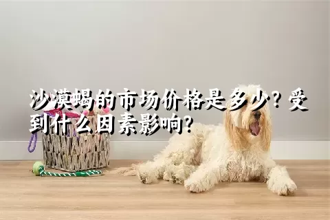 沙漠蝎的市场价格是多少？受到什么因素影响？