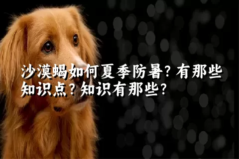 沙漠蝎如何夏季防暑？有那些知识点？知识有那些？