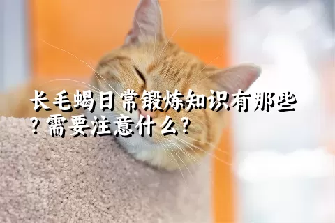 长毛蝎日常锻炼知识有那些？需要注意什么？