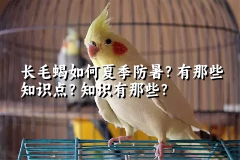 长毛蝎如何夏季防暑？有那些知识点？知识有那些？