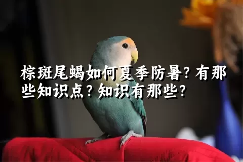 棕斑尾蝎如何夏季防暑？有那些知识点？知识有那些？